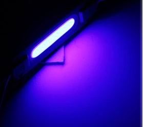 COB LED moduler, 12v
