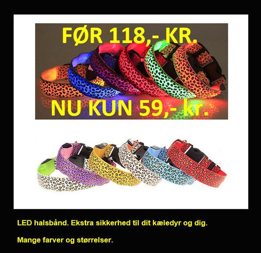 LED halsbånd