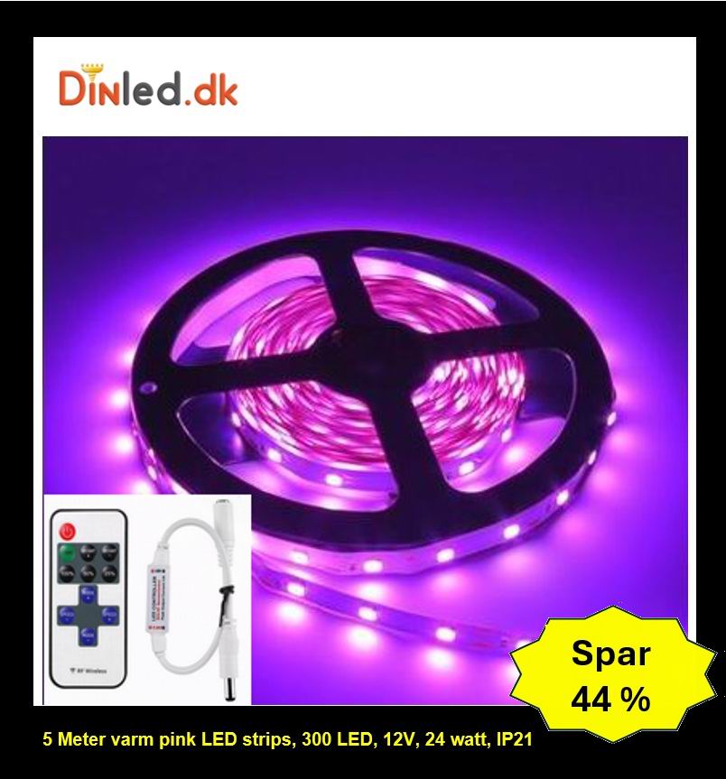 5 meter PINK, 12 volt, 24 watt, P20, 300 LED, Led strip