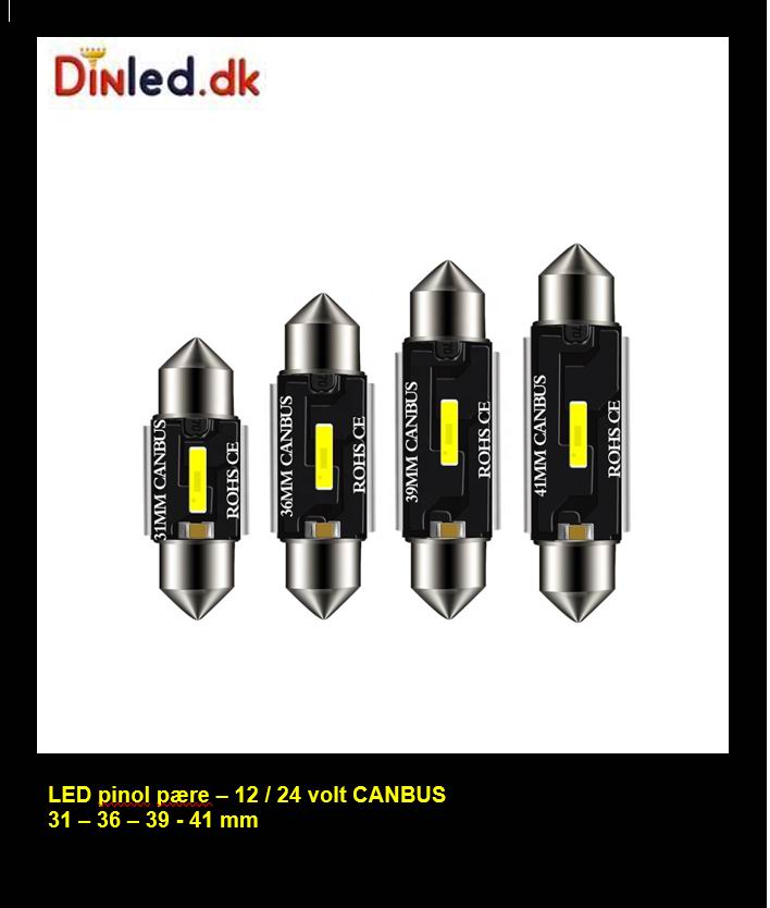 LED Pinol med - CSP LED - 12/24 volt – DinLED.dk