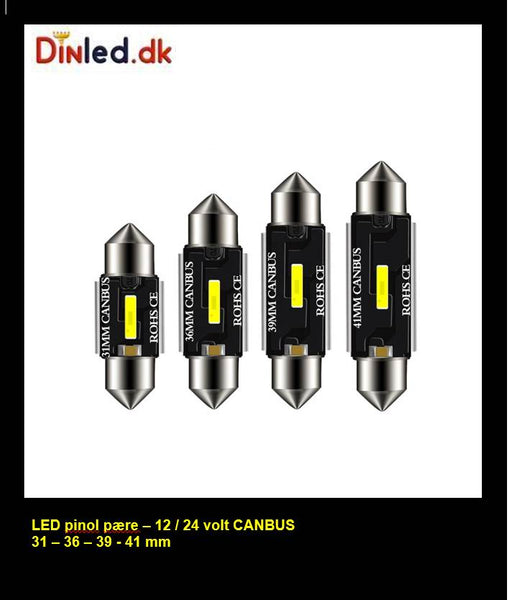 LED Pinol pære med Canbus  -  CSP LED chips - 12/24 volt